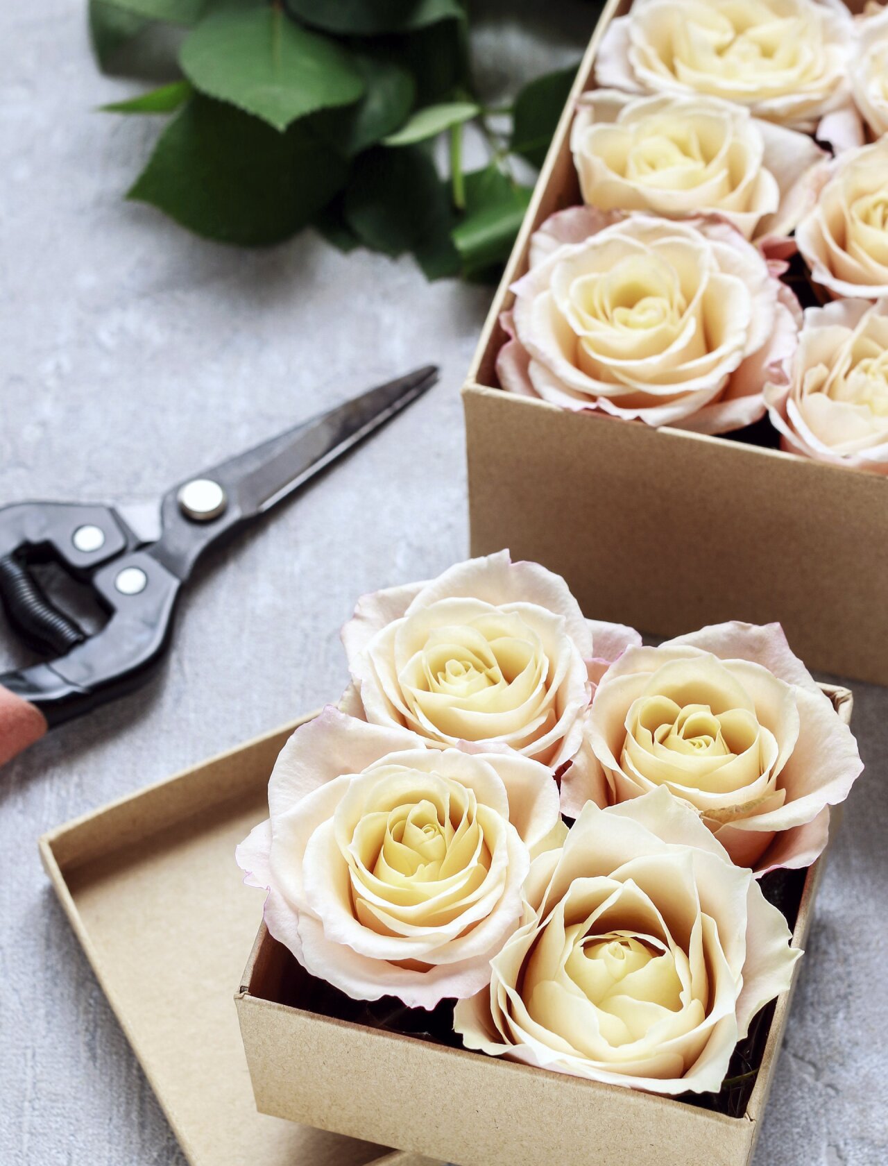 roser uten stilk plassert i små pappesker