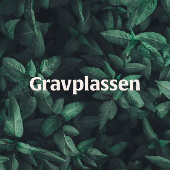 Gravplassen